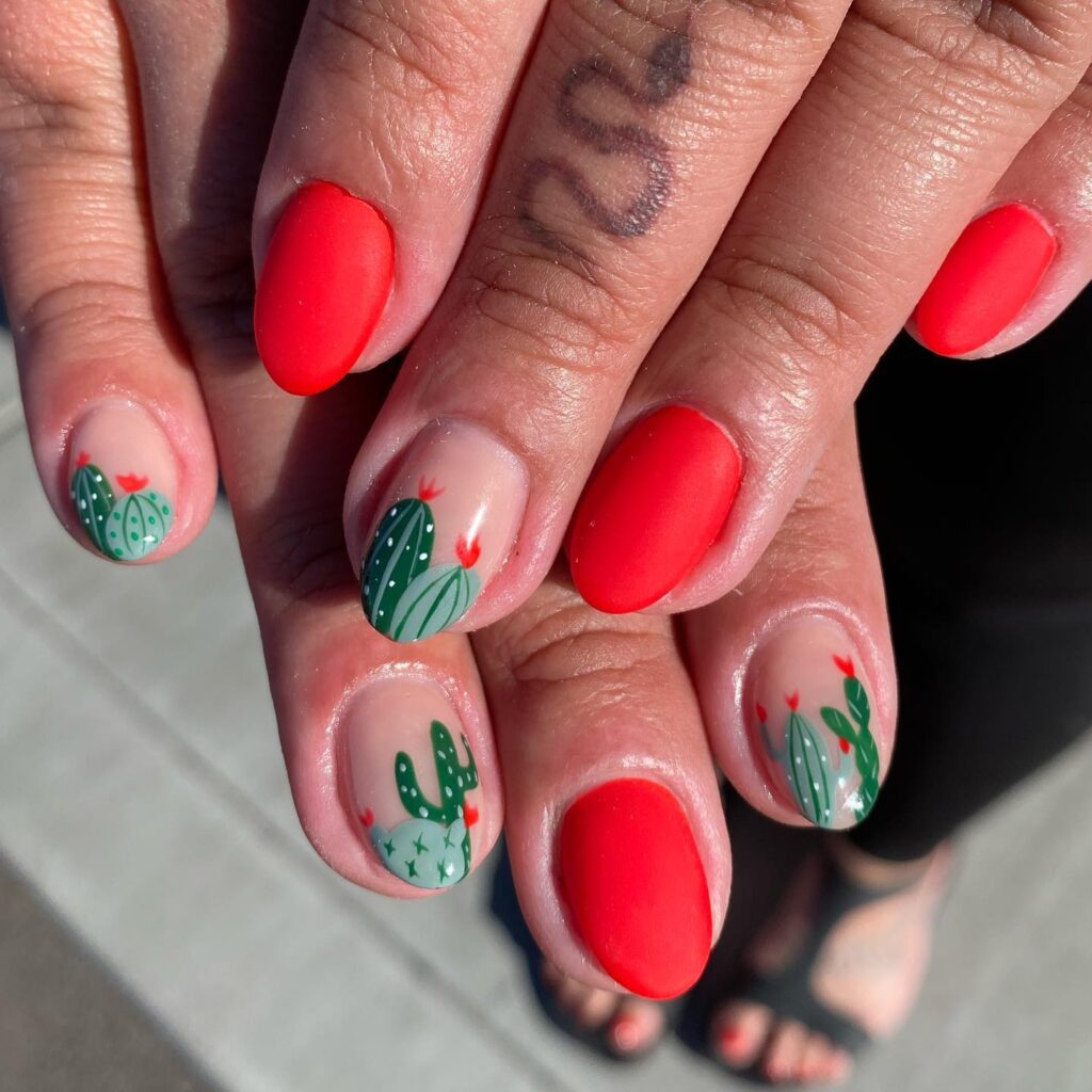 Summer Red, Desert Green Cacti 