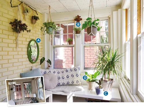 Decorating with Plants