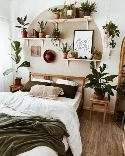 Decorating with Plants