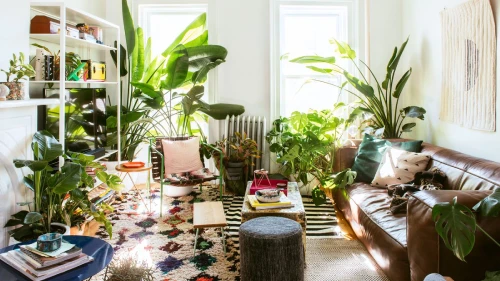 Decorating with Plants