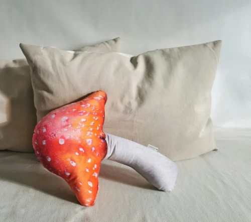 Mushroom plush cushion gift or decoration DIY Boho Room Decor on a Budget