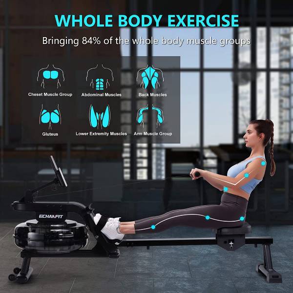 Water Rowing Machine Home Gym Ideas