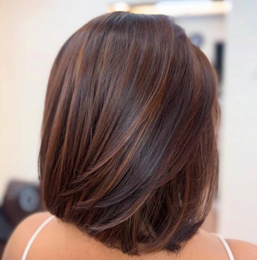 Caramel Highlight Look for Brown Hair