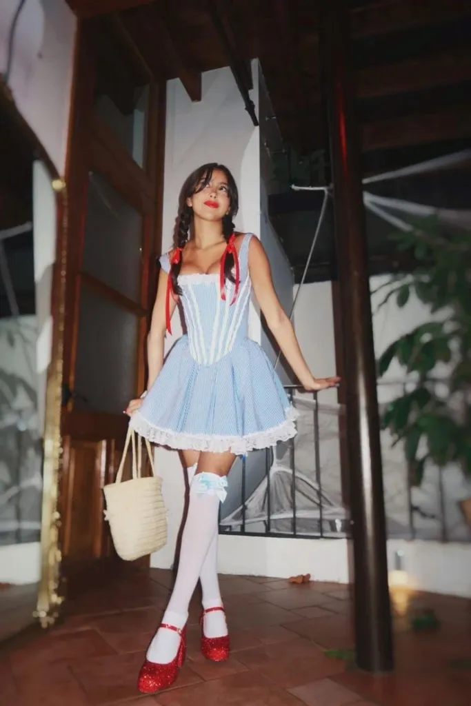 Dorothy Blue Gingham Dress Costume