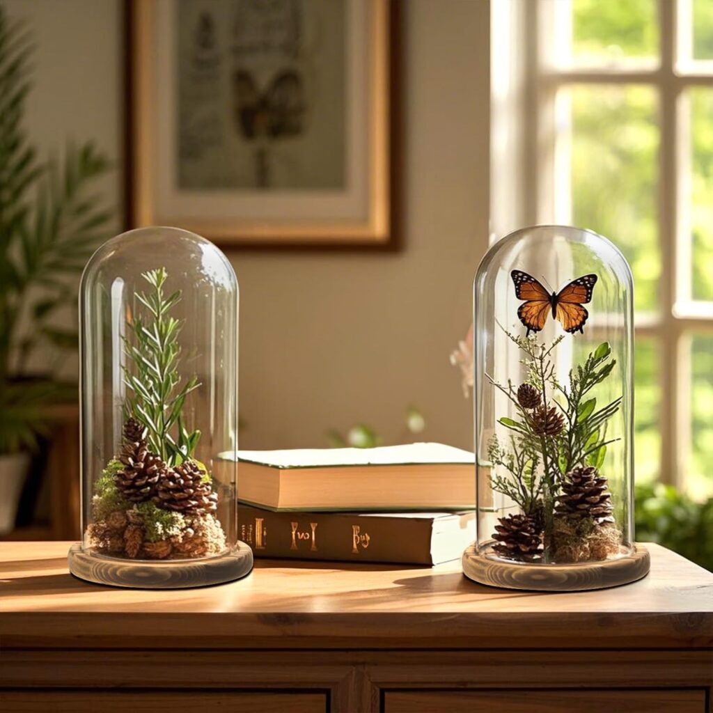 Glass Cloche Display Dome 10 Inch Large Decorative Glass Bell Jar Fresh Spring Decor Ideas to Brighten Your Home