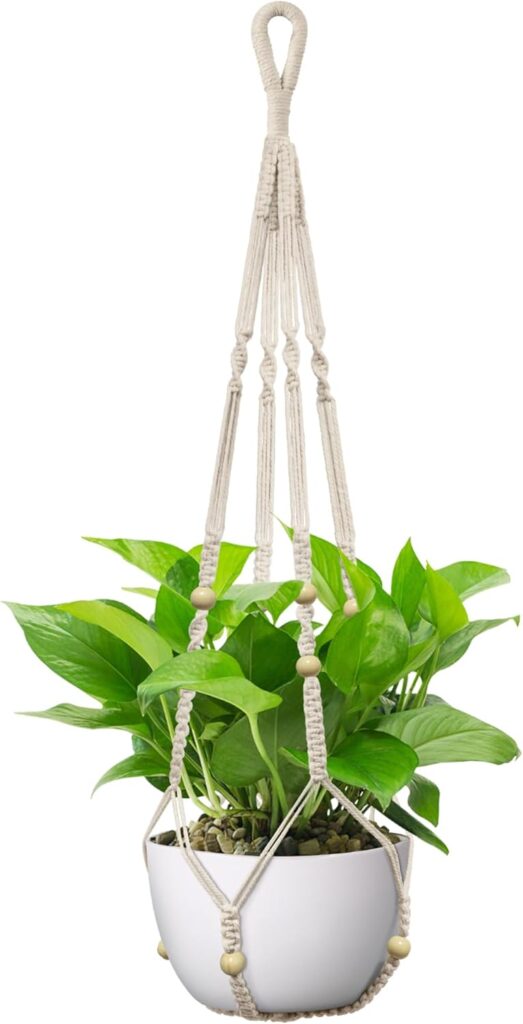 Plant Hanger Indoor Outdoor Fresh Spring Decor Ideas to Brighten Your Home